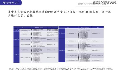 新組織設(shè)計(jì)管理咨詢項(xiàng)目建議書